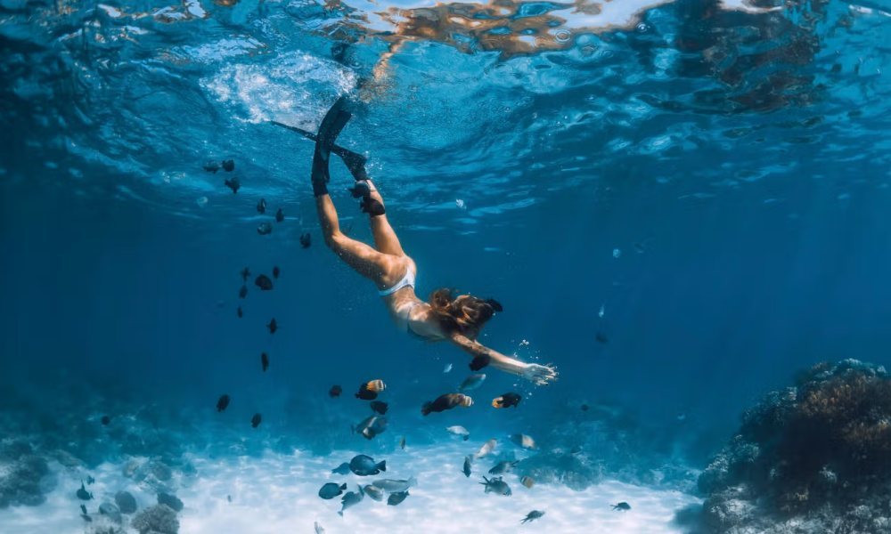 O que fazer em Los Cabos: 30 atrações e passeios