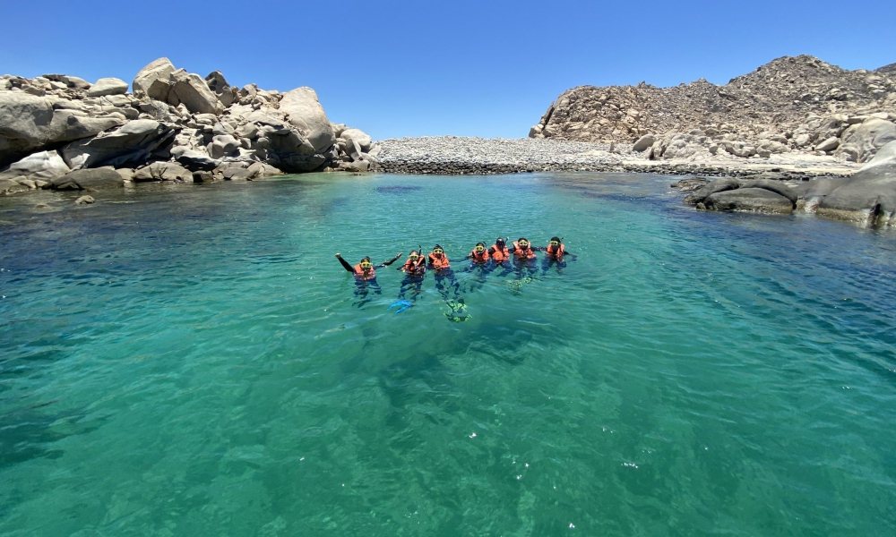 Baja Sur