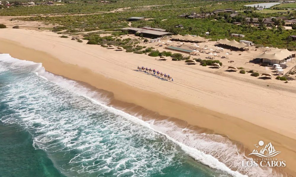 Tierra Sagrada: Aventura & Beach Club