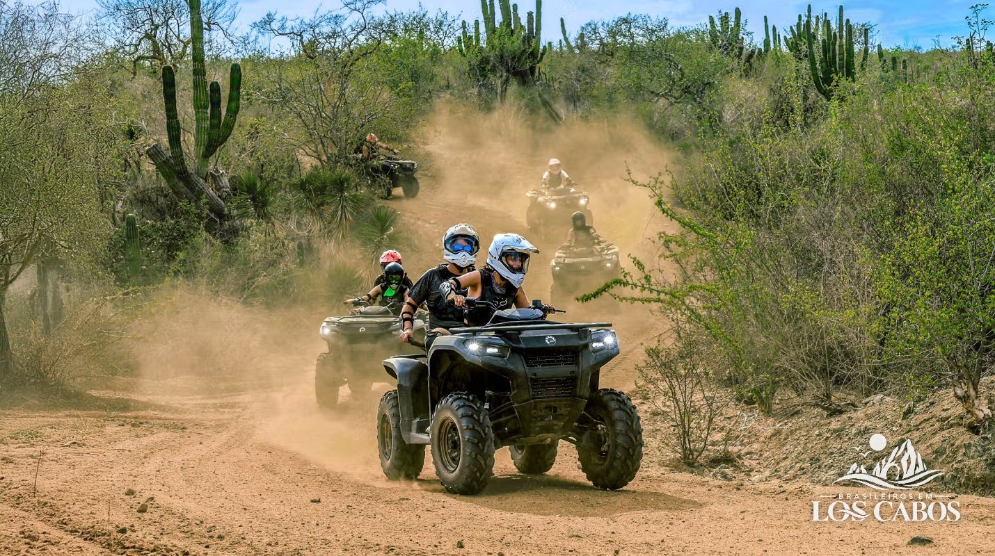 Quadriciclo no deserto